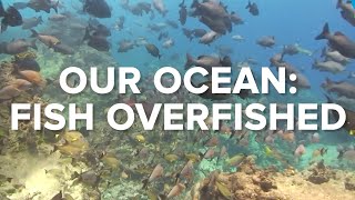 OUR OCEAN: FISH OVERFISHED - Ocean Conservation #2 | Conservation Inte