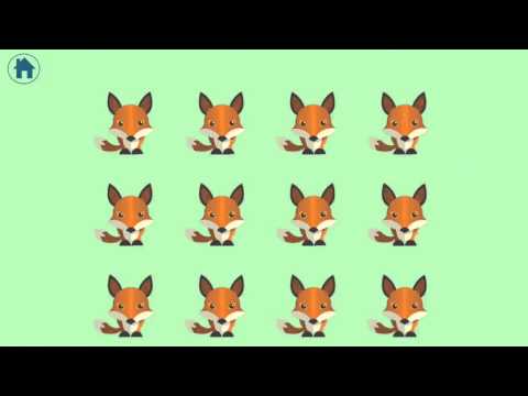 Advanced Sight Words