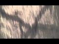 Satellites & Sirens - Run Away (Official Lyric ...