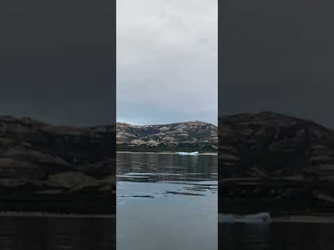 Inunnguaq zeeb, Nunanga.