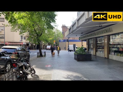 Calle Piedras - Buenos Aires - Argentina - walking tour [4K UHD] 2022