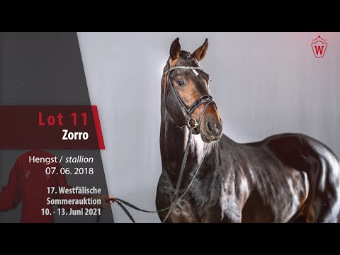 Westfälische Sommer-Auktion Lot 11 Zorro Hengst v. Zoom - Just Perfect