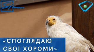 У Харківському зоопарку — переїзд, напередодні відкриття: унікальні птахи отримали просторе житло