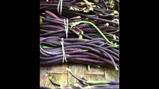 David Young- The Zen Master