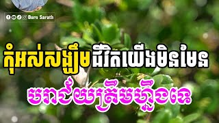 កុំអស់សង្ឃឹម ជីវិតយើងមិនមែនបរាជ័យត្រឹមហ្នឹងទេ