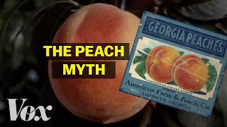 The biggest peach myth in America