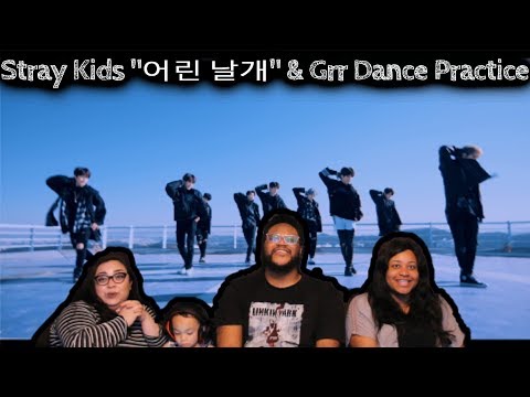 REACTION TO Stray Kids "어린 날개" & Grr Dance Practice with THE HENSONS!