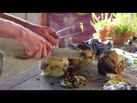 Från krog till skog på Furillen