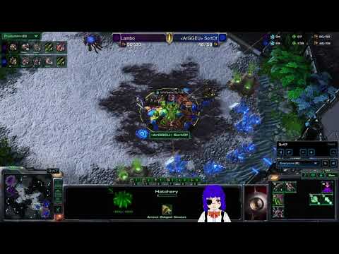(ZvZ) Lambo VS SortOf SC 2
