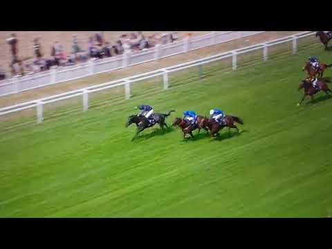 Caravaggio-commonwealth cup-Phoenix Stakes