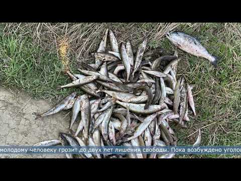 Фото 25.05.2022 Любителя незаконной рыбалки задержали в Воскресенском на реке Лютога