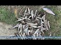 Фото 25.05.2022 Любителя незаконной рыбалки задержали в Воскресенском на реке Лютога