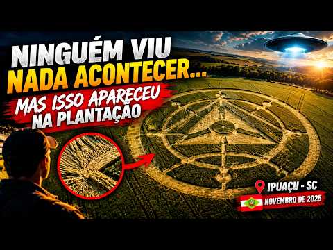 Ninguém Viu Nada Acontecer... Mas Isso Apareceu na Plantação