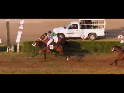 19th Day | 6th Race 1,200 Meters Winner "Royal Gift" | Division II (Maiden) | Lahore Race Club |