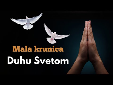 MALA KRUNICA DUHU SVETOM: molitva prije važnih događaja ili odluka, u duhovnim borbama