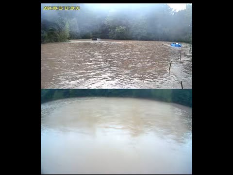 Pomozte koním po povodních