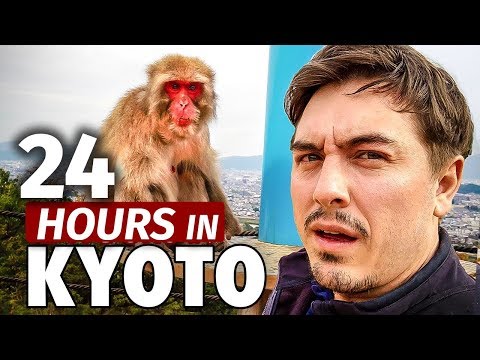 24 Hours in Kyoto | Japan's Best Monkey Park