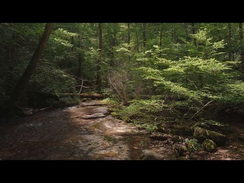 Sustainability at TUTCO