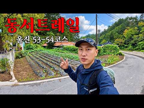 대한민국 최초 장거리 백패킹 숲길? 직접 걸어봤습니다!