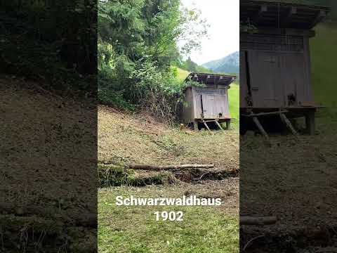 Schwarzwaldhaus 1902