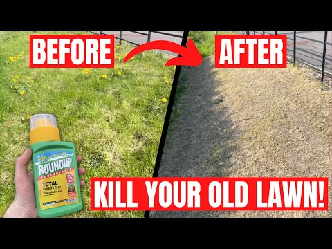 How to KILL your OLD LAWN using ROUNDUP - The First Step in a COMPLETE RENOVATION