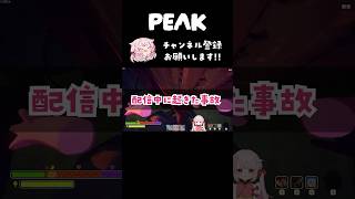 PEAKで起きた事件がヤバすぎたwwww