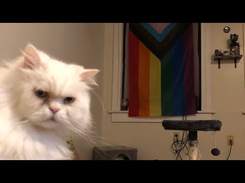 Motivations II The Bad Plus cover?