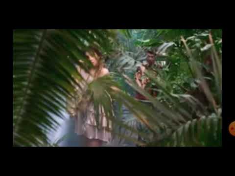 BiBi si Antonio Pican-Boom Diggy