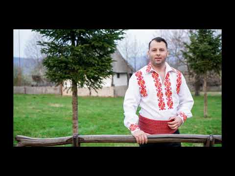 Sorin Banulescu - M-a dus viata-n sus si-n jos LIVE (De-aia cateodata beau)cover