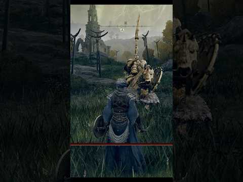 Playing Elden Ring for the first time...