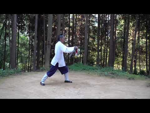 Wudang Taiji Sword
