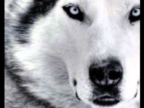 Why Boys (High Energy)