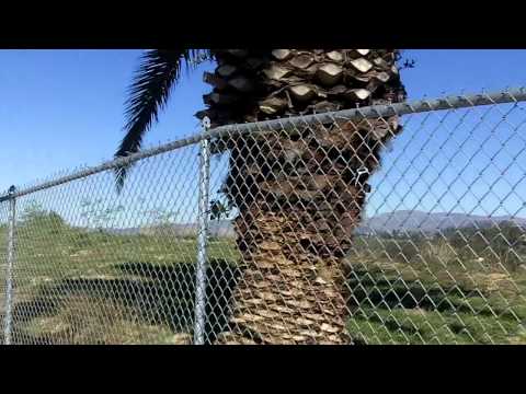 1035 White Knoll Drive, Los Angeles, CA 90012