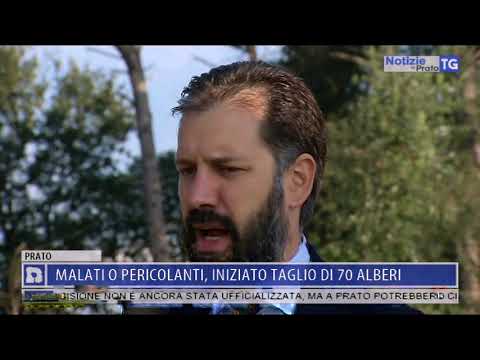 2017-09-28 NOTIZIE DI PRATO TG ORE 20.50