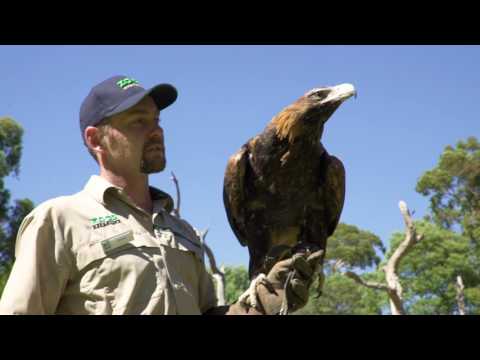 Healesville Sanctuary