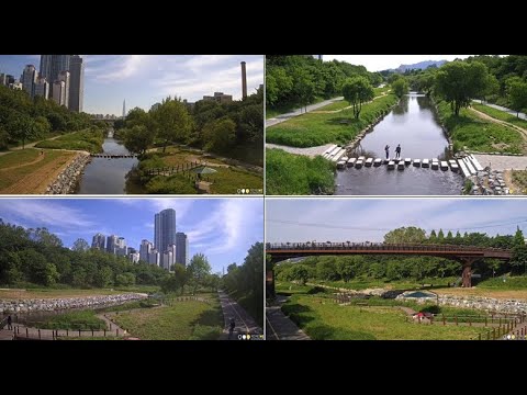 Seoul - Yangjaecheon live cam