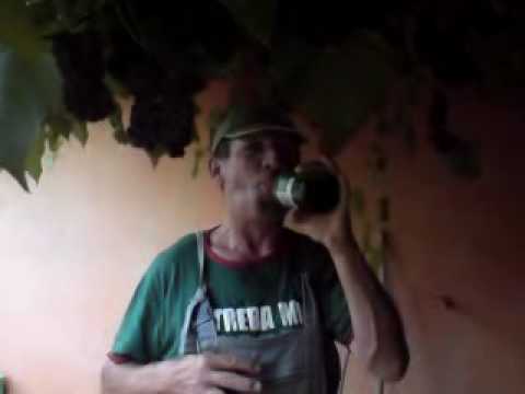 hodošan                ENTY POD TRSOM U HODOŠANU PART 1