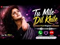 तू मिले दिल खिले बांसुरी रिंगटोन नई इं
