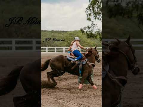 Na Vaquejada eu Chorei