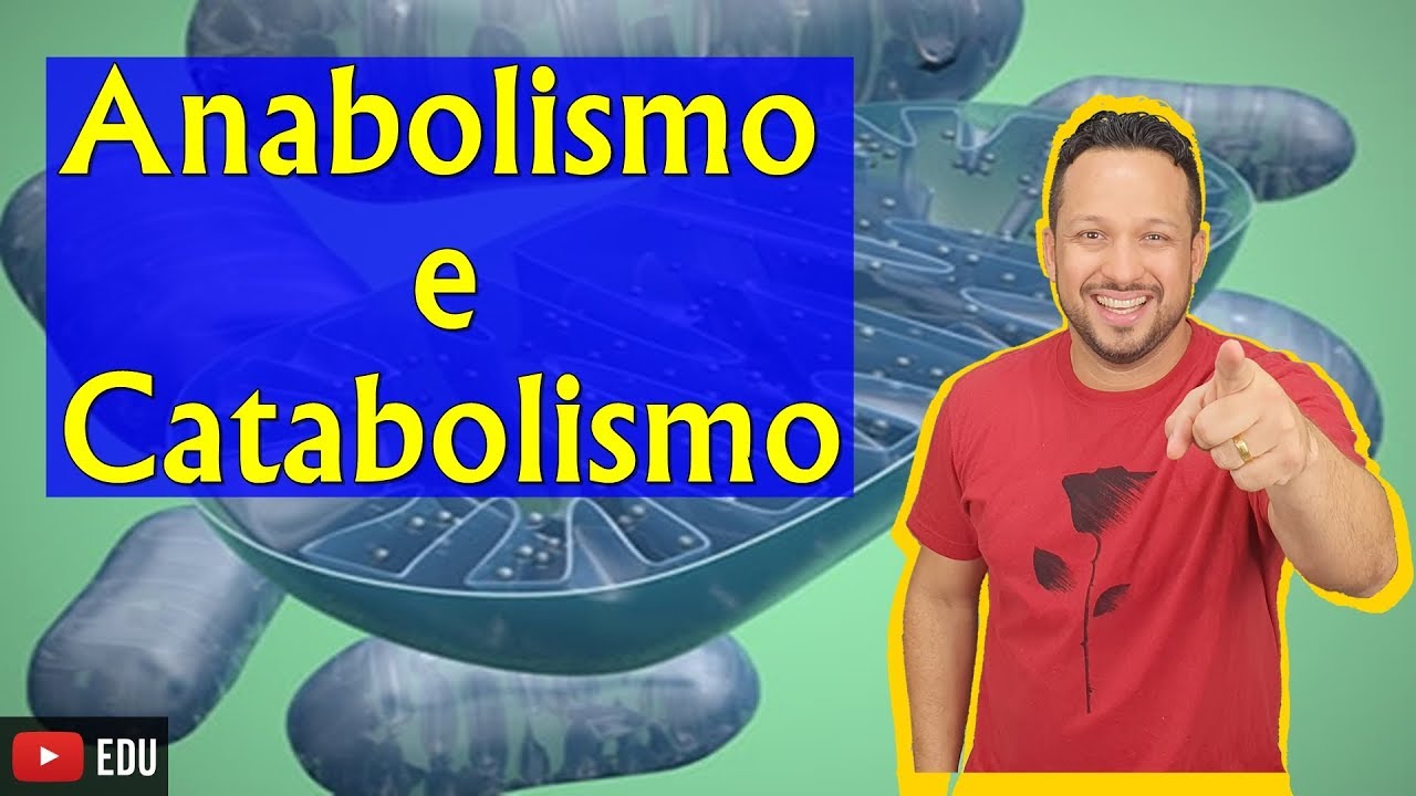 Anabolismo e Catabolismo - Bioenergética - Aula 1