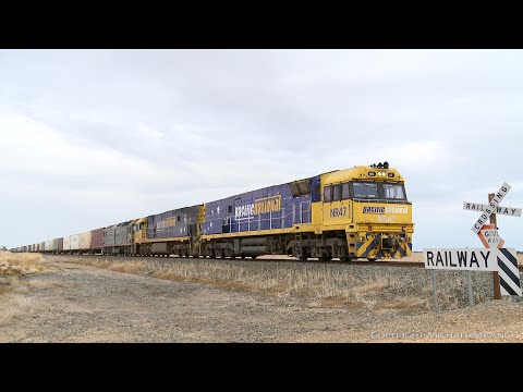 6MP4 Pacific National / TOLL Container Train At Hesse (8/3/2019) - PoathTV Railways