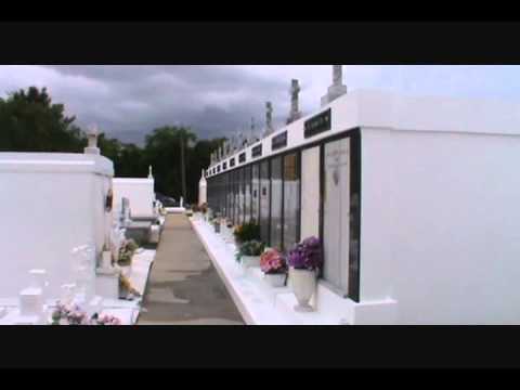 Milka Pellegrin Family Vault Project 8-14-2011.wmv