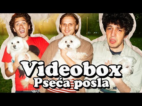 VIDEOBOX | Pseća posla