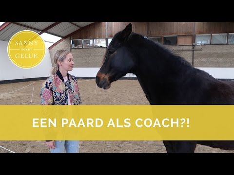 download lagu mp3 mp4 Coachen Met Paarden, download lagu Coachen Met Paarden gratis, unduh video klip Coachen Met Paarden