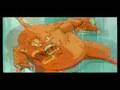 Dragon Ball Z OVA AMV 1