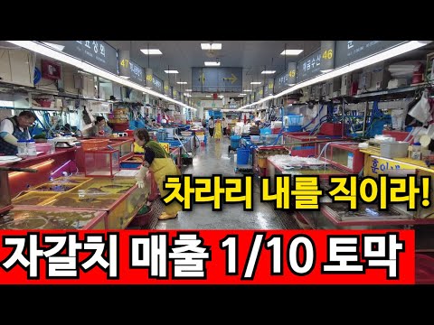 끝없는 바가지 논란 자갈치시장 | 무상 임대 주장까지..ㅠ