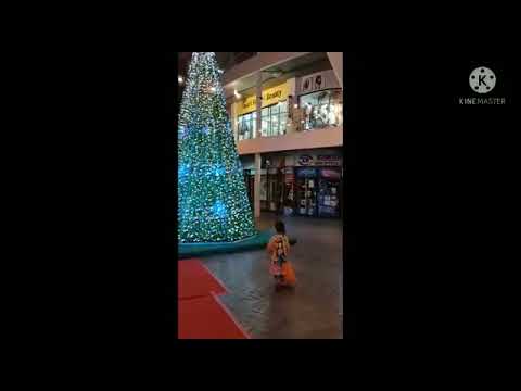 tree Christmas 🎄🎄🎄⛄⛄⛄ ເພິ່ນວ່າ