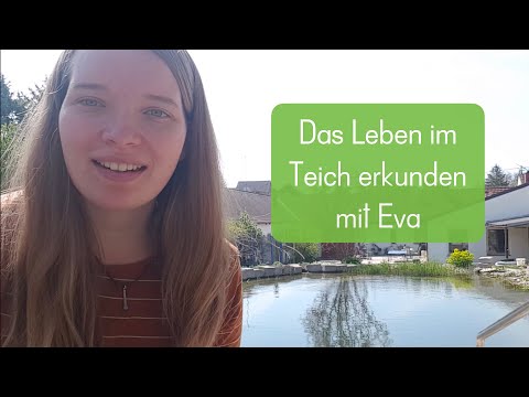 Das Leben im Teich erkunden mit Eva