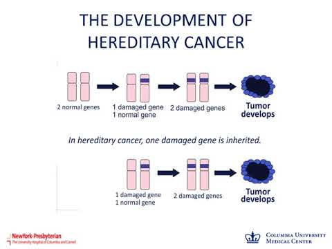 Webinar: Updates in Genetic Testing for Hereditary Breast and Ovarian Cancer February 15, 2018