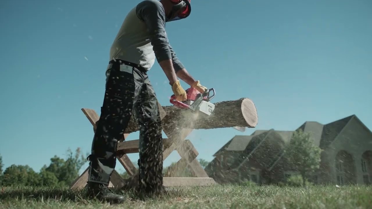 MS 250, High-Performance Compact Chainsaw